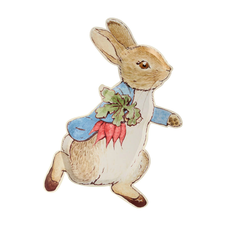 Peter Rabbit Party Plates (12 pcs)
