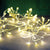 Allium Starburst String Lights <br> 20 LED Bulbs