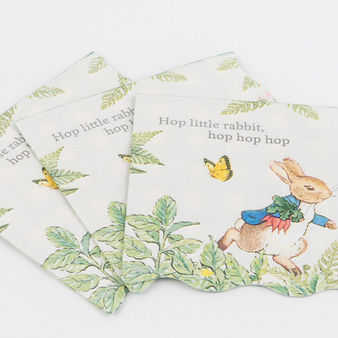 Meri Meri Peter Rabbit Garden Small Napkins – Pack of 16