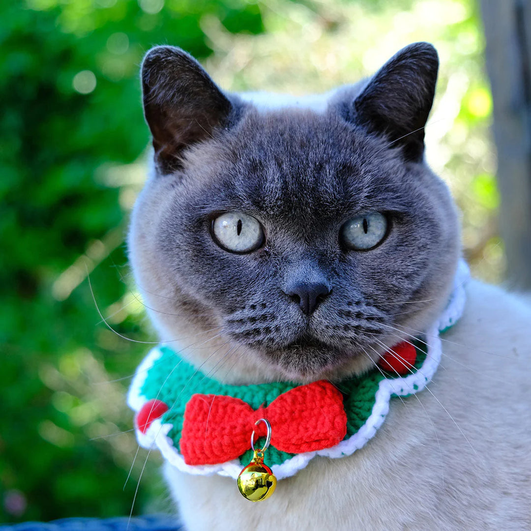 Crochet Christmas Cat Collar – Sweet Maries Party Shop