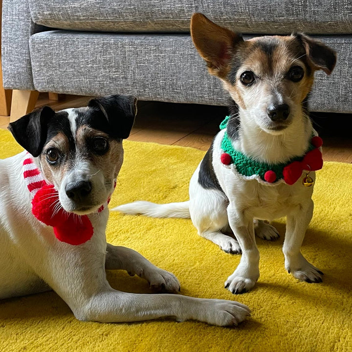 Crochet Christmas <br> Cat Collar