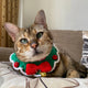 Crochet Christmas <br> Cat Collar