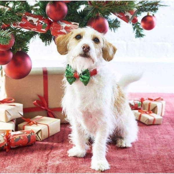 Festive Sequin Pet <br> Bow Tie - Sweet Maries Party Shop