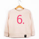 The Numbers - 6 Pink Sweatshirt - Sweet Maries Party Shop
